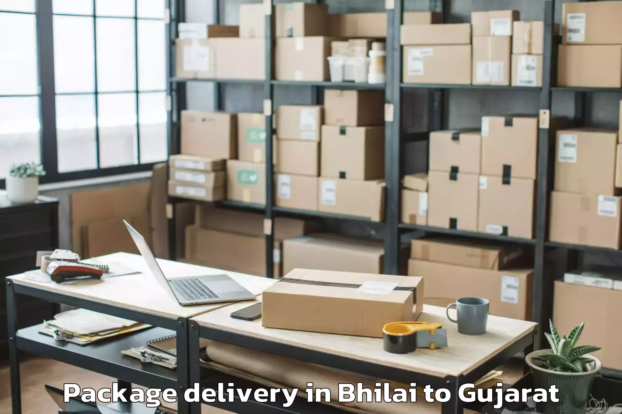 Easy Bhilai to Kadodara Package Delivery Booking